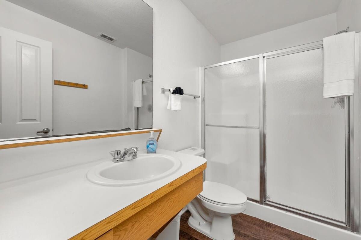 탬파 4Bd 2 Mi To Usf Free Pool + 24 Hour Gym 빌라 외부 사진