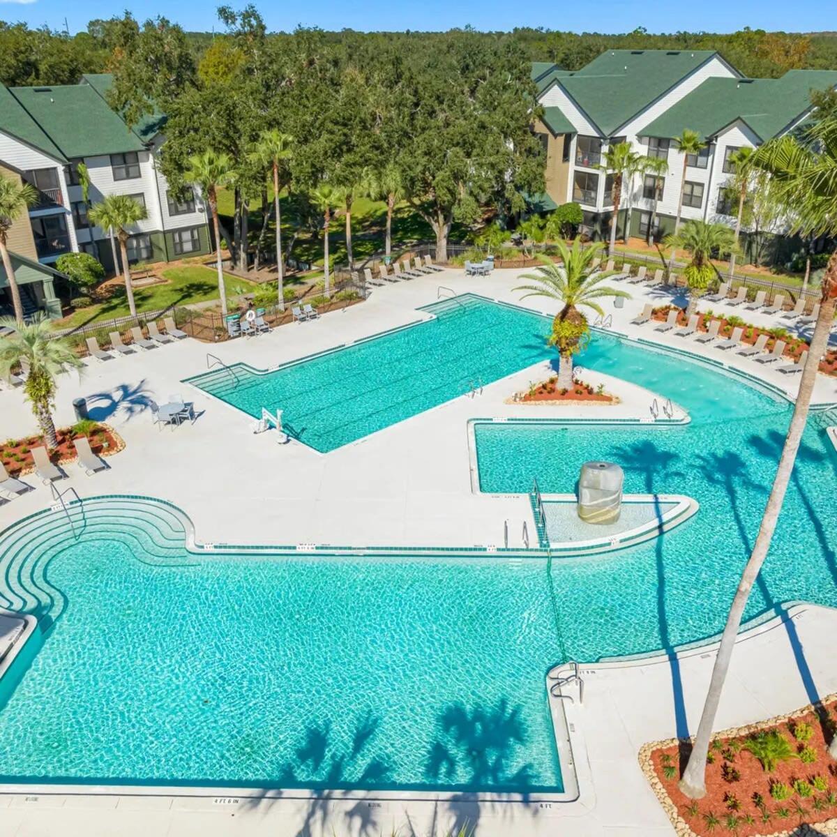 탬파 4Bd 2 Mi To Usf Free Pool + 24 Hour Gym 빌라 외부 사진